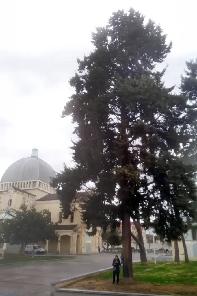 Hauteur d’à peu près 9 fois une taille humaine